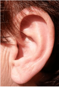 Family Sues After Maggots Invade Nursing Home Patient’s Ear