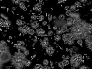 Nursing Homes at Highest Risk for CDI Infections