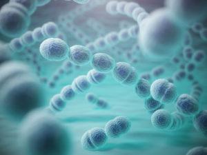 Respiratory Infections